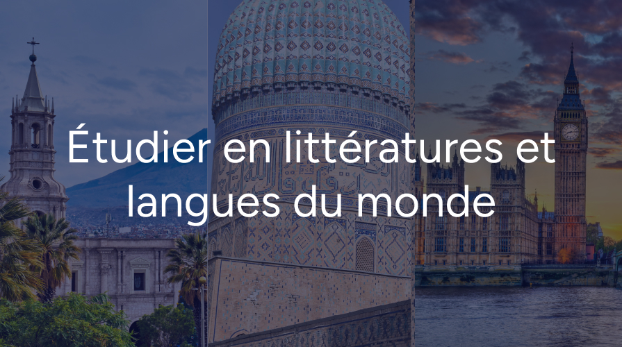 Étudier en littératures et langues du monde